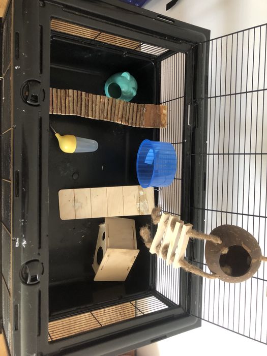 Vand cusca rozatoare