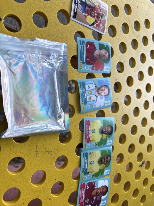 Vand stikere panini world cup
