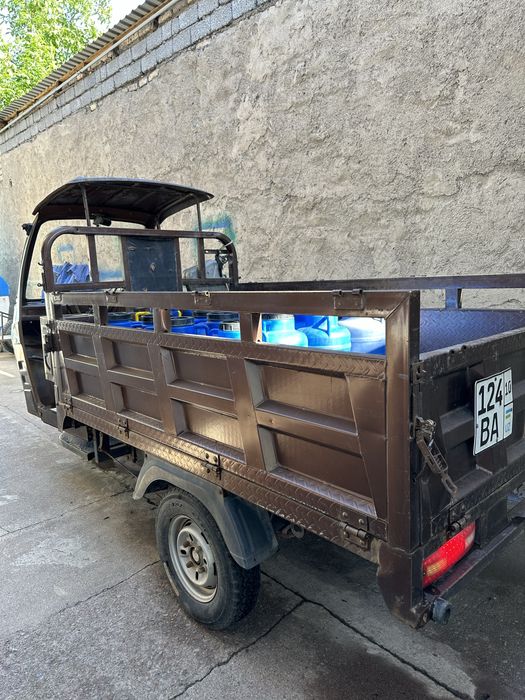 муравей зонлон ангрен