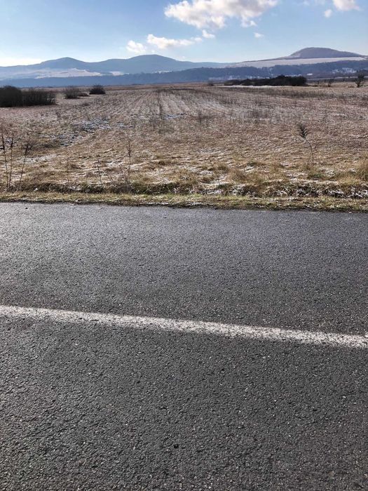 Vand urgent 35 ari teren extravilan la periferia Localitatii Chintelnic cu acces din drum asfaltat
