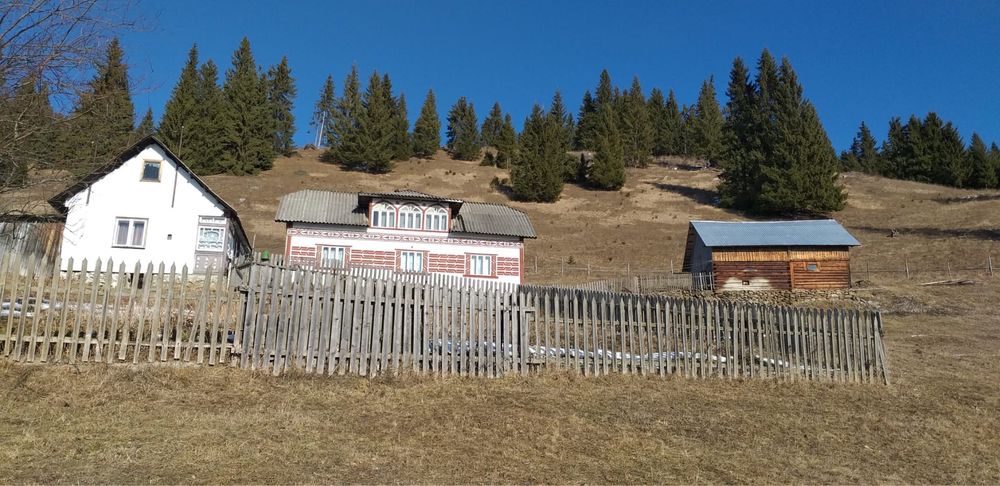 Gospodarie+teren de vanzare