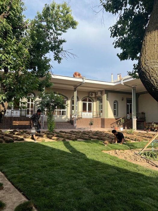 Газон екамиз уруг ва рулон 100% Халол!