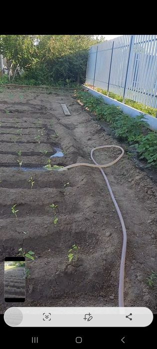 Продам дачу со Агротехснаб