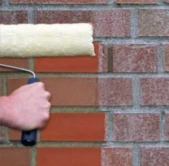 Очиститель фасадов Типром Плюс из первых рук