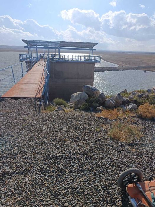 Георадарное обследование (исследование)