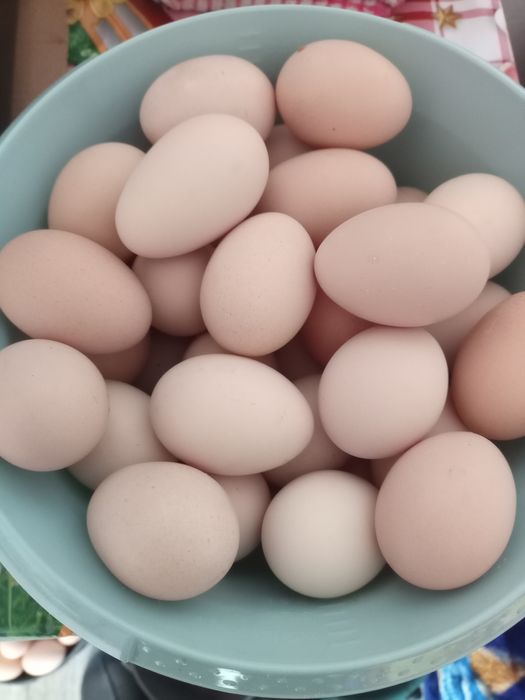 Vănd ouă proaspete de țară.