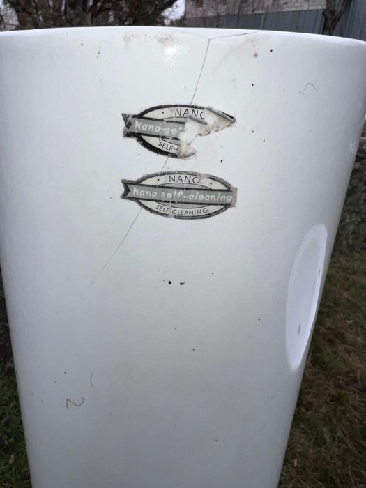 Раковина тюльпан