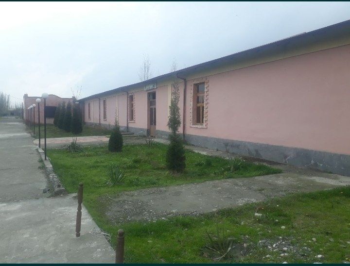 Tadbirkorlik yoki boshqa maqsadlarda