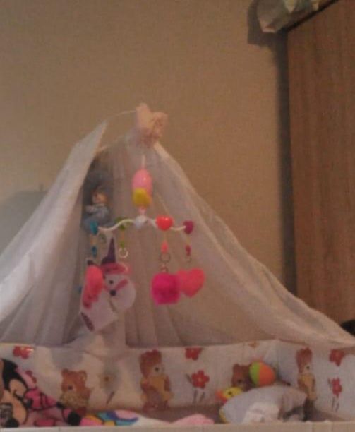 Baldachin de vanzare