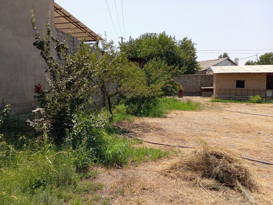 продается земля бектемирском районе