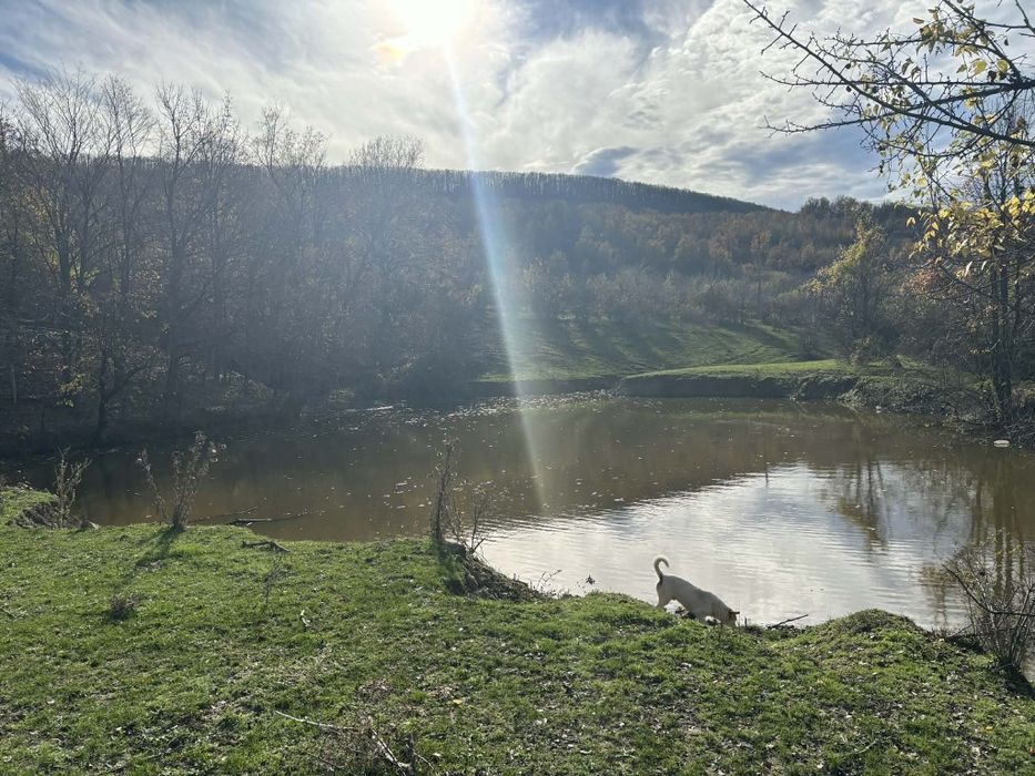 Продава се Земеделски имот в с. Кесарево, Област Велико Търново -  кв.м за 204 €/дка - Снимка #1