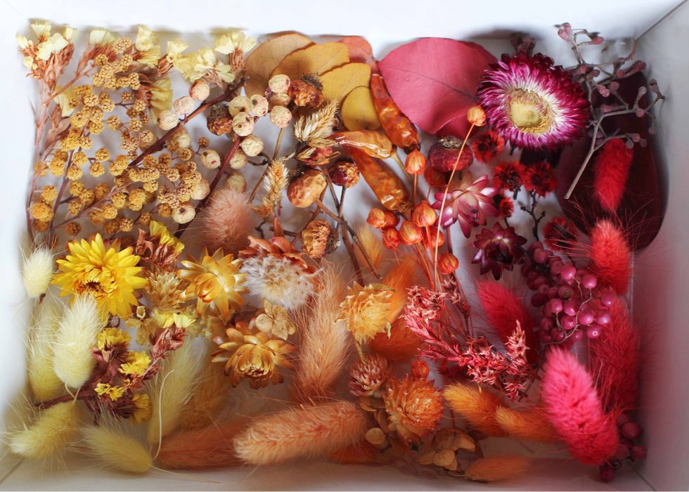 Наборы сухоцветов