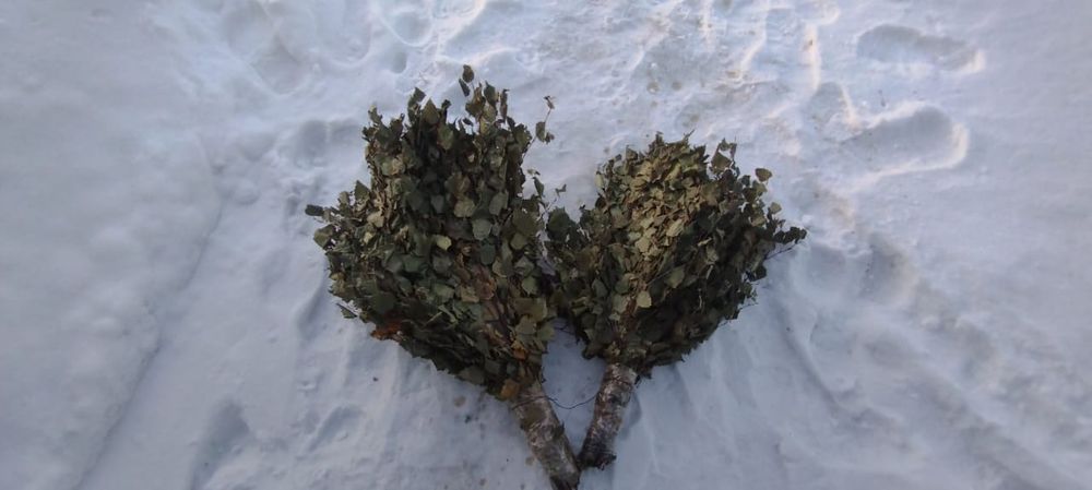 Березовые веники