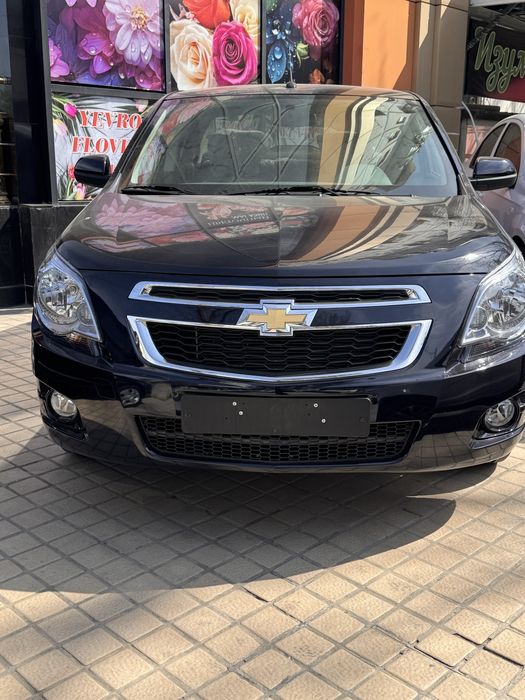 Cobalt MCM 2026 Dark moon blue