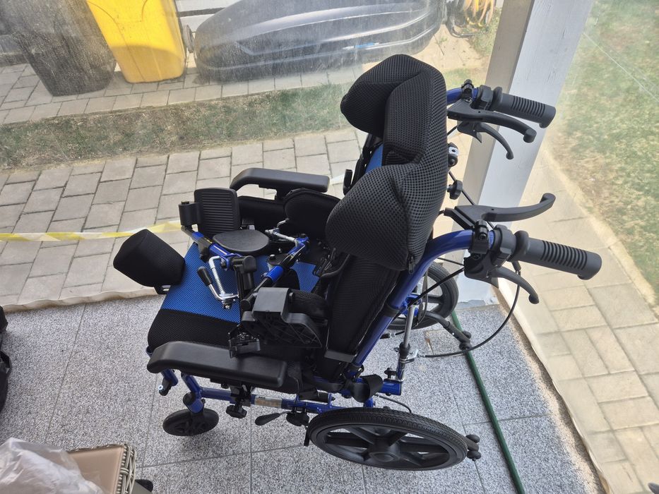 Carut persoane cu dizabilitati