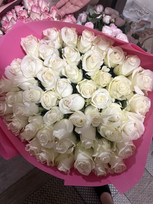 Продам свежие розы