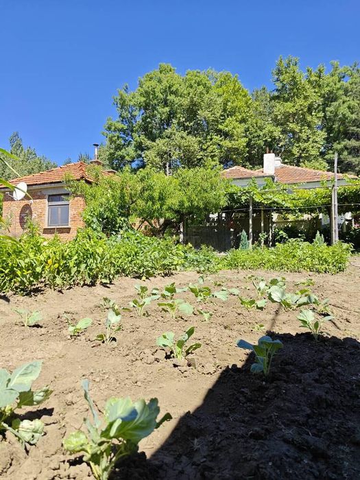 Продава се Къща в с. Подвис, Област Бургас - 124 кв.м за 351 €/кв.м - Снимка #1