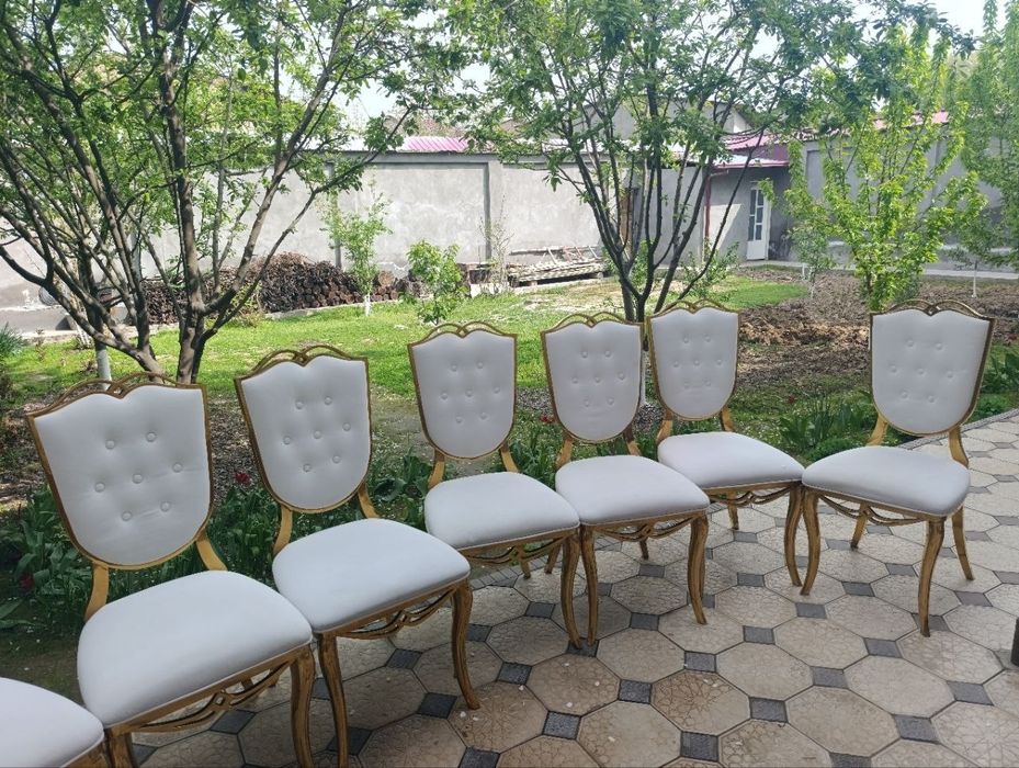 Prokat stol stul 24/7