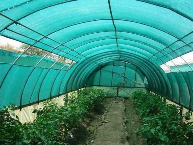 Солнцезащитные, теневая сетка.