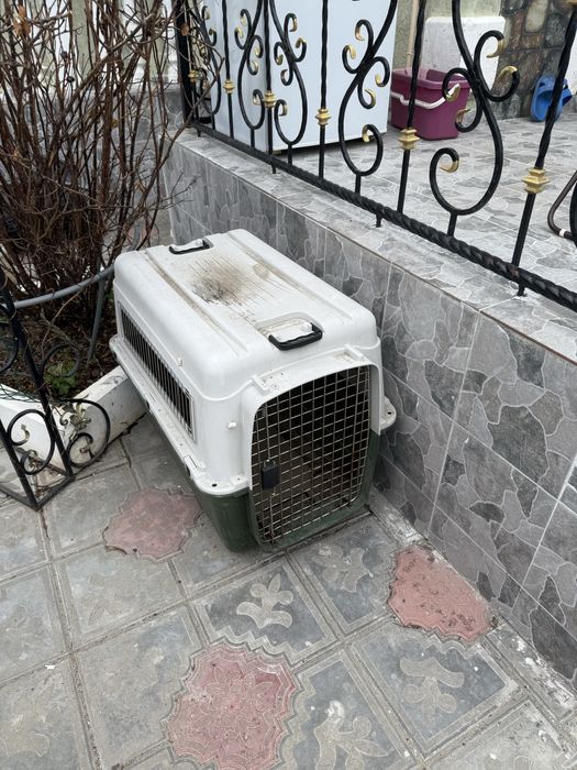 Продается бокс для переноски собак