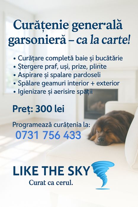 Firma curățenie Hunedoara – Like the Sky | Locuințe, birouri, ...