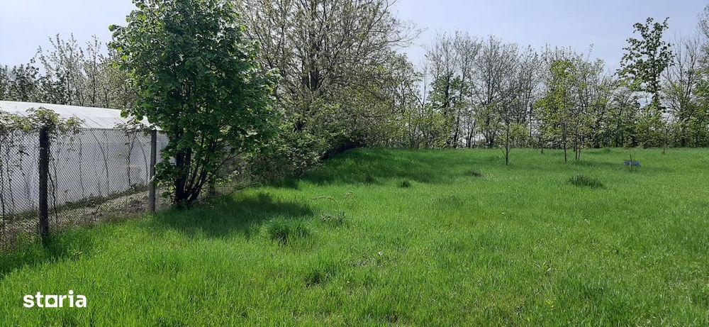 Teren intravilan in Zaicesti zona Conacului cu latura de padure