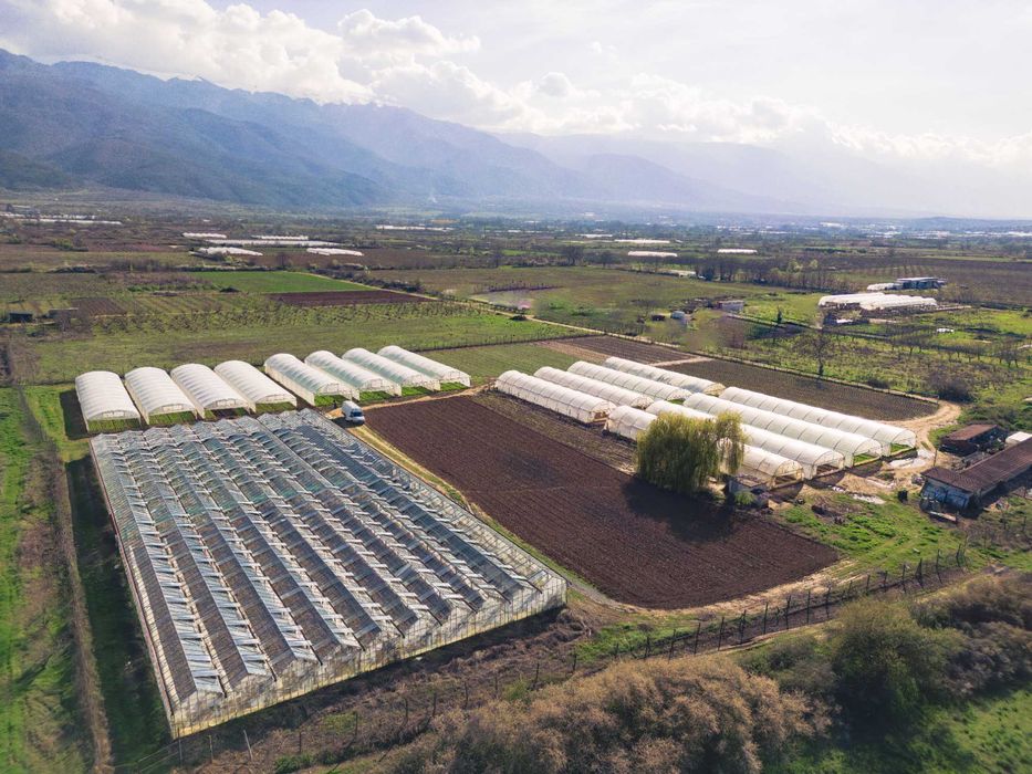 Продава се Земеделски имот в Петрич -  кв.м за 13 €/дка - Снимка #1