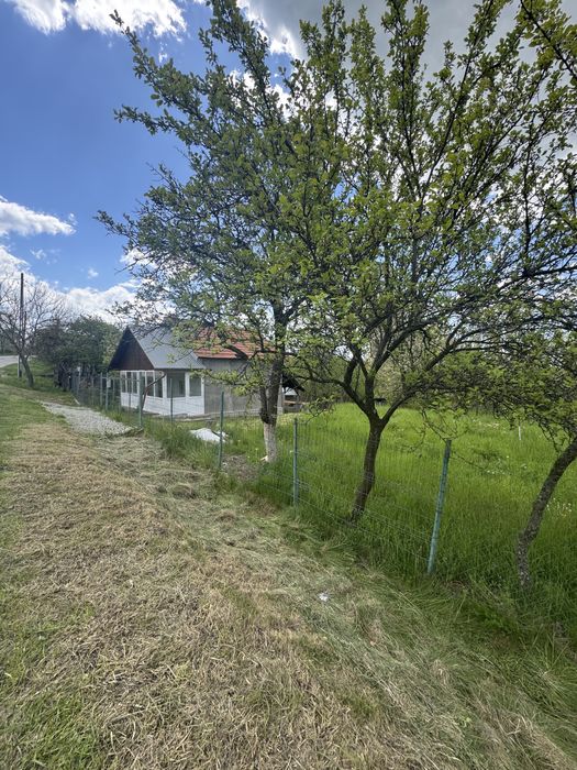 Casa si teren de vanzare, Cepari, Arges