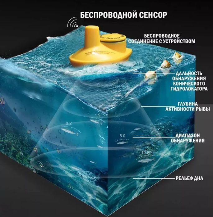 Эхолот и подводная камера