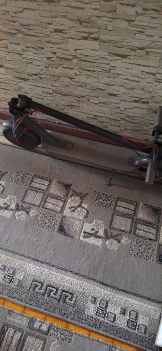 Электросамокат и гироскутер