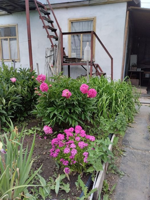 Продам дачу в "Черемушках".
