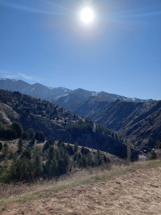 Тур в Самарканд, горы. Поездки по Узбекистану. Минивэн Hyundai