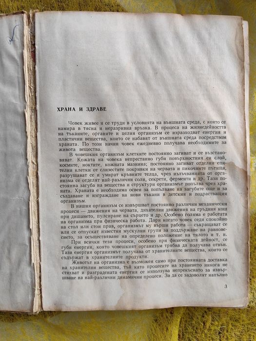Наша кухня, книга от 1966 година