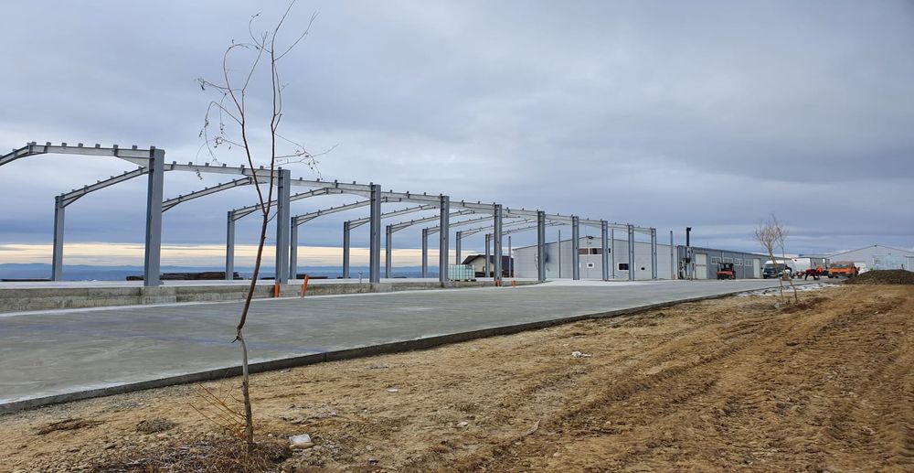 Vand structura hala metalica