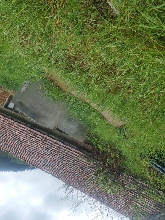 Продава се Парцел в с. Търън, Област Смолян - 4500 кв.м за 29 €/кв.м - Снимка #6