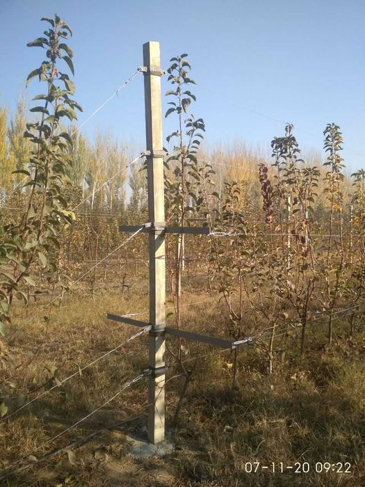 Производим и установим по Узбекистану Железобетонные столбы шпалера.