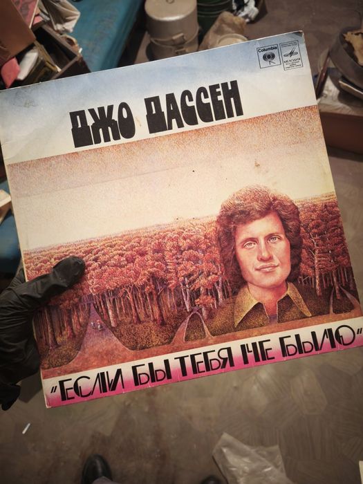 Виниловые пластинки