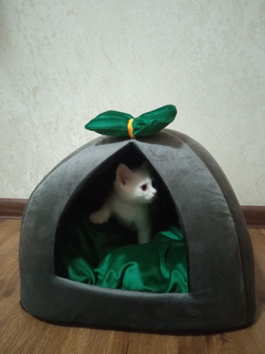 Домик для кошек.