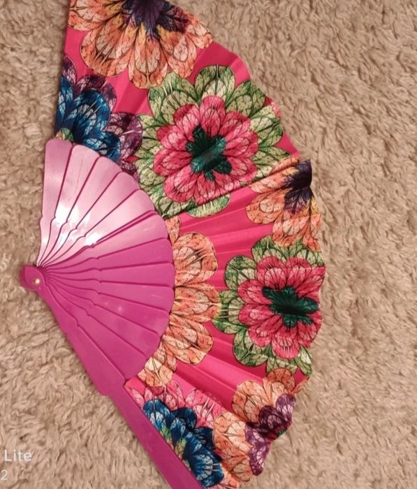 2 Evantaie Venezia noi