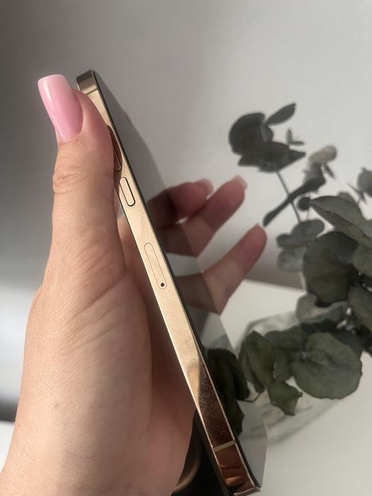 Iphone 12 Pro max 256