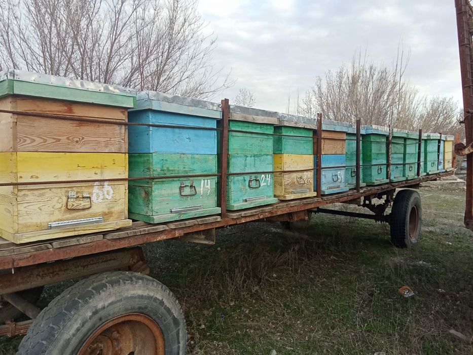 Прицеп для пчёл.