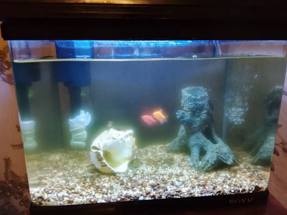 Продам аквариум 20л BOYU