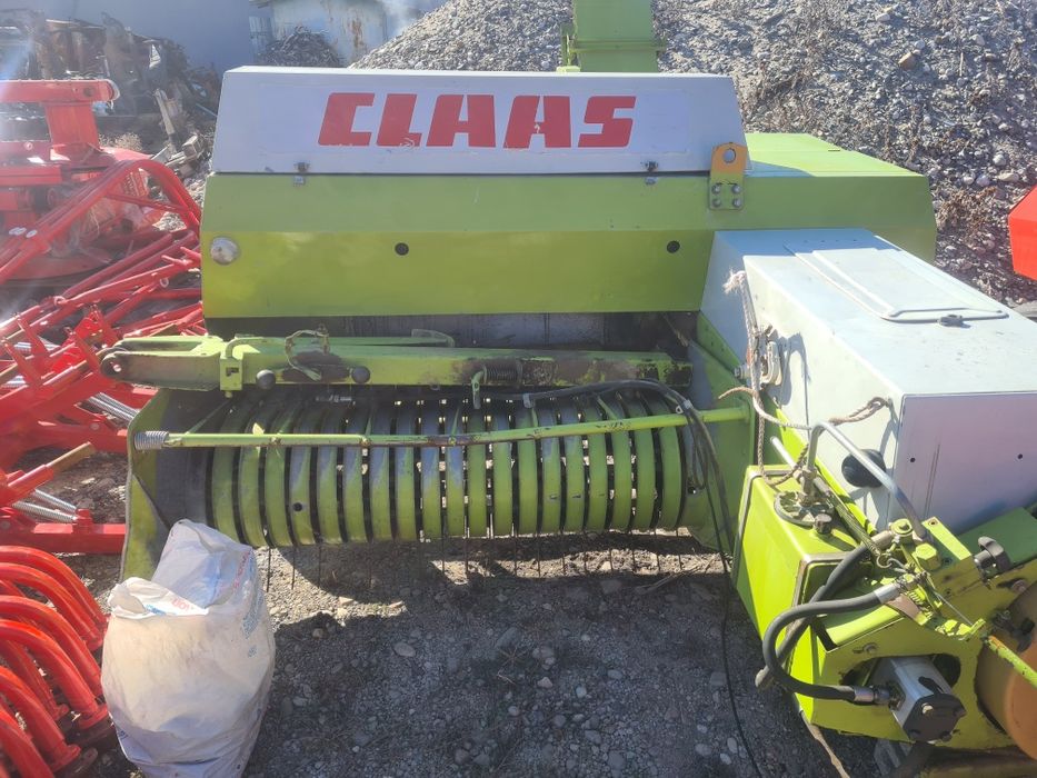 Буроям , ямобур Lisicki (Польша)