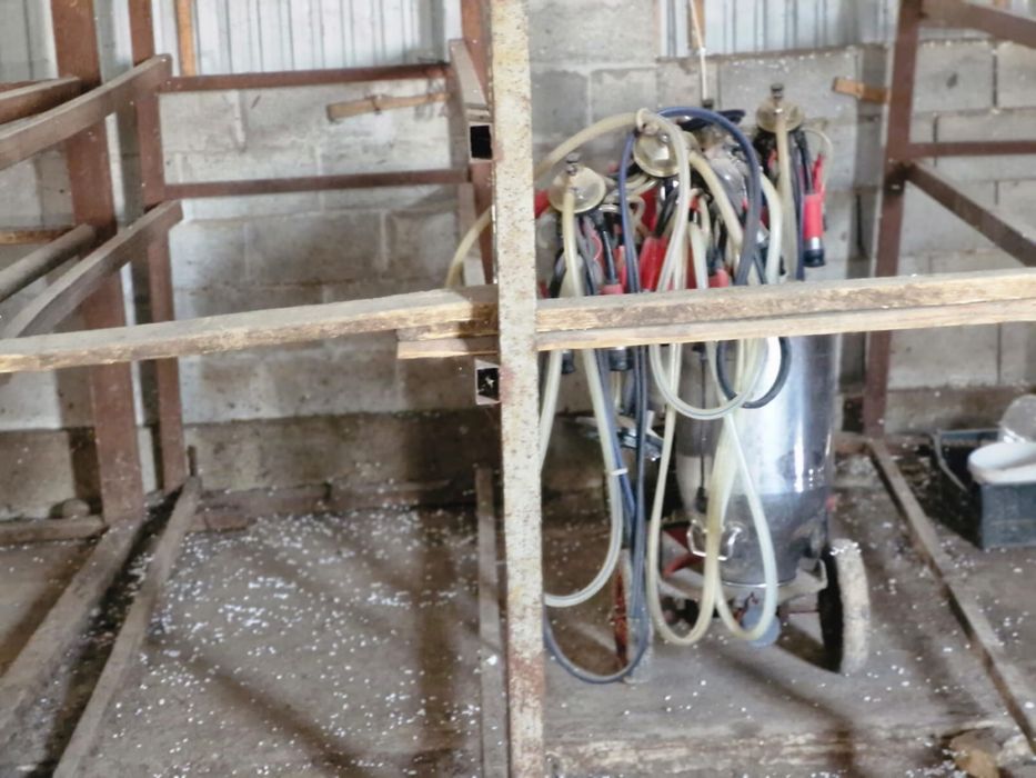 Готовый завод шампиньонов 6000соток