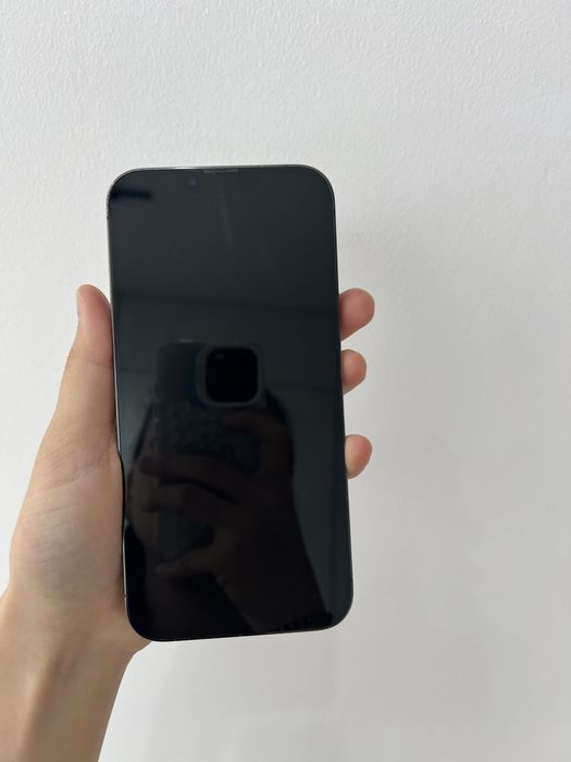 iPhone 13 Pro Max 128/76%
