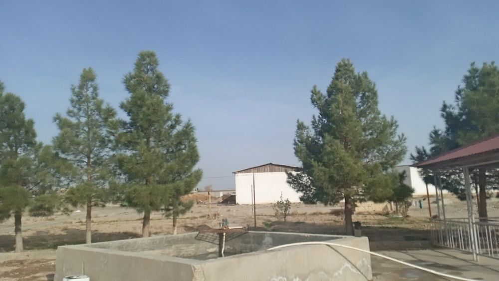 Срочно продам землю 1.7 гектар караул базар дол дороги документы есть.