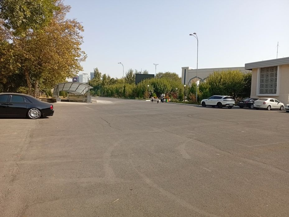 Кинолог, выезд .