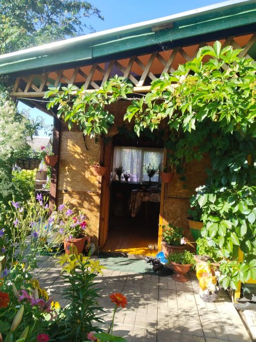 Продам дачу общесво»Эврика»