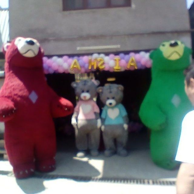 2 ta Kotta. 2 ta teddy Ayiqlar sotiladi .