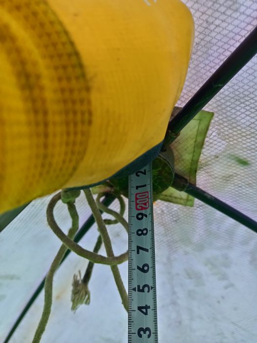 Продам палатку куб 1.9*19*2.